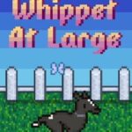 Whippet At Large