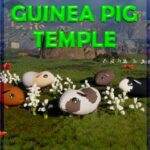 Guinea Pig Temple