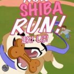 Run Shiba Run!
