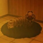 Petsitting