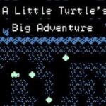 A Little Turtle's Big Adventure