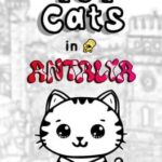 101 Cats in Antalya