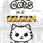 101 Cats in Belgium