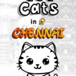 101 Cats in Chennai