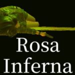 Rosa Inferna