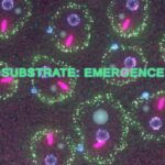 Substrate: Emergence