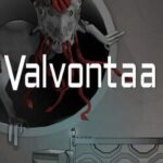 Valvontaa