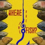 Where Are the Fish?