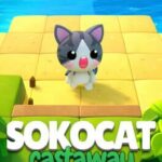 Sokocat: Castaway
