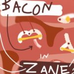 Bacon in Zane