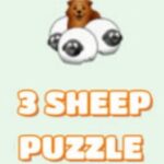 3 Sheep Puzzle
