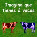 Imagina que tienes 2 vacas