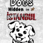 101 Dogs Hidden in Istanbul
