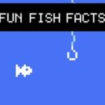 Fun Fish Facts