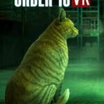 Order 13 VR