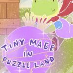 Tiny Mage in Puzzle Land