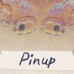 Pinup