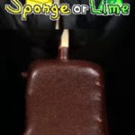 Sponge or Lime
