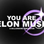 You Are Elon Musk