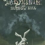 The Labyrinth on Burrow Hill