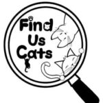 Find Us Cats