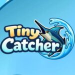 Tiny Catcher