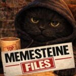 Memesteine Files