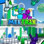 Meetrix