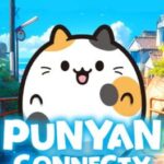 Punyan Connecty