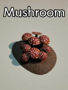Mushroom