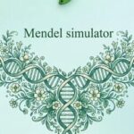 Mendel Simulator