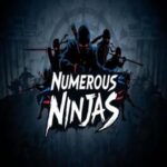 Numerous Ninjas