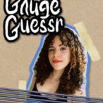 Gauge Guessr