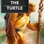 Catch the Turtle