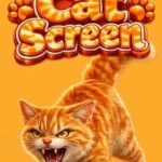 Cat Screen