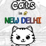 101 Cats in New Delhi