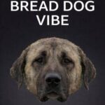 Bread Dog Vibe