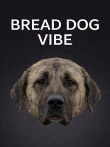 Bread Dog Vibe