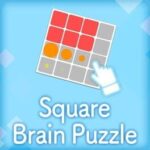Square Brain Puzzle
