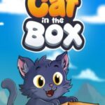 Cat in the Box