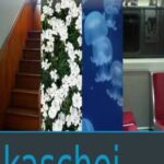 Kaschei