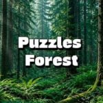 Puzzles Forest