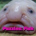 Puzzles: Fish