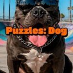 Puzzles: Dog