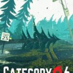 Category 6