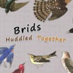 Brids Huddled Together