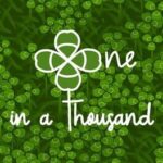 One in a Thousand: Clover Book