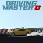 Driving Master D